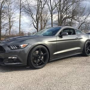 Meet your Posher, Tim